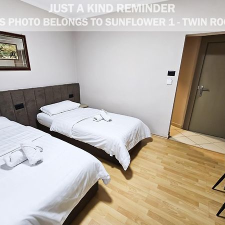 Sunflower Rooms Tirana Extérieur photo