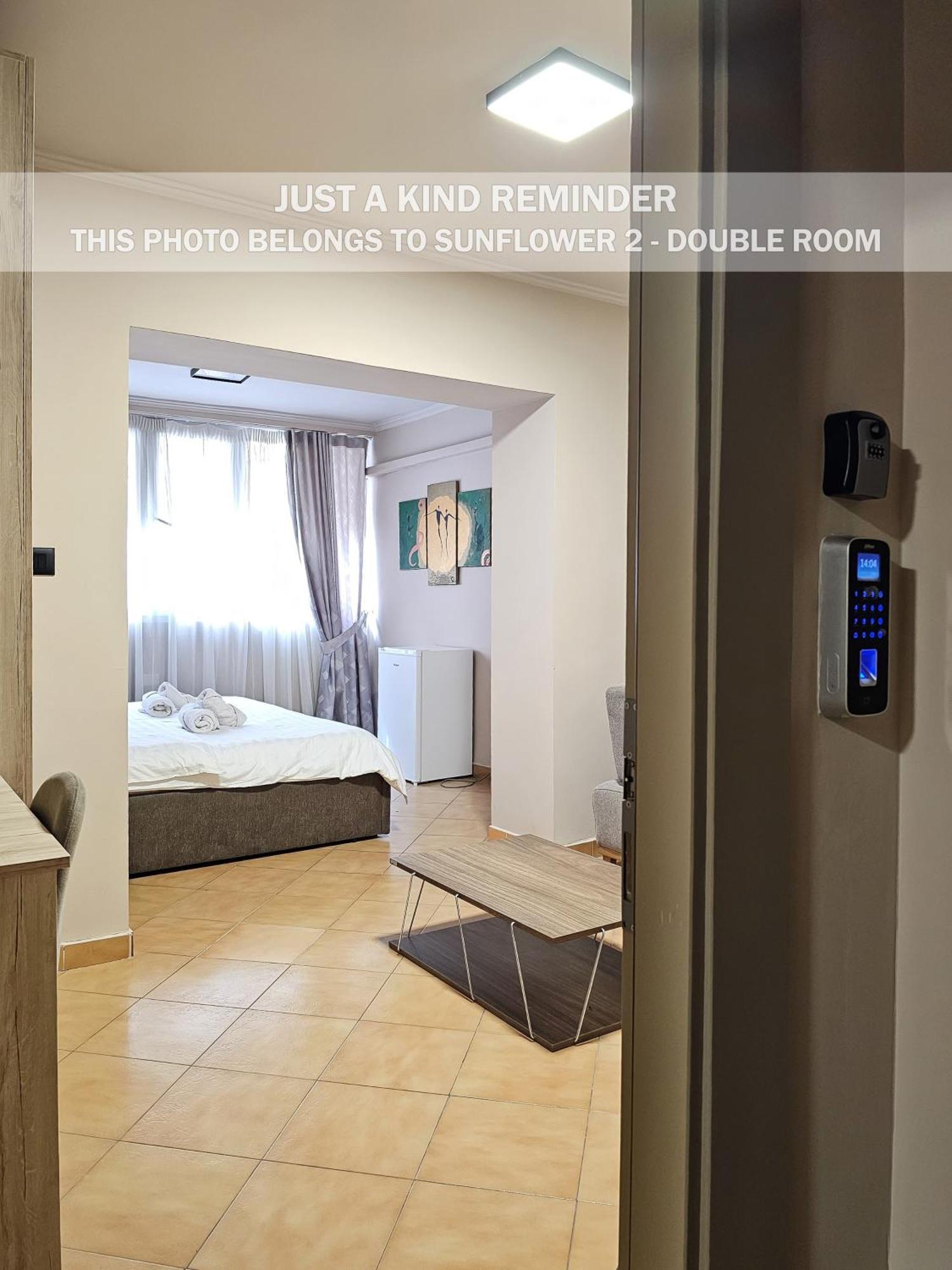 Sunflower Rooms Tirana Extérieur photo