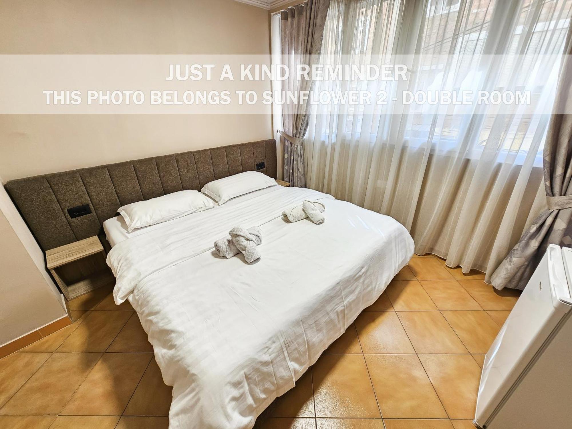Sunflower Rooms Tirana Extérieur photo
