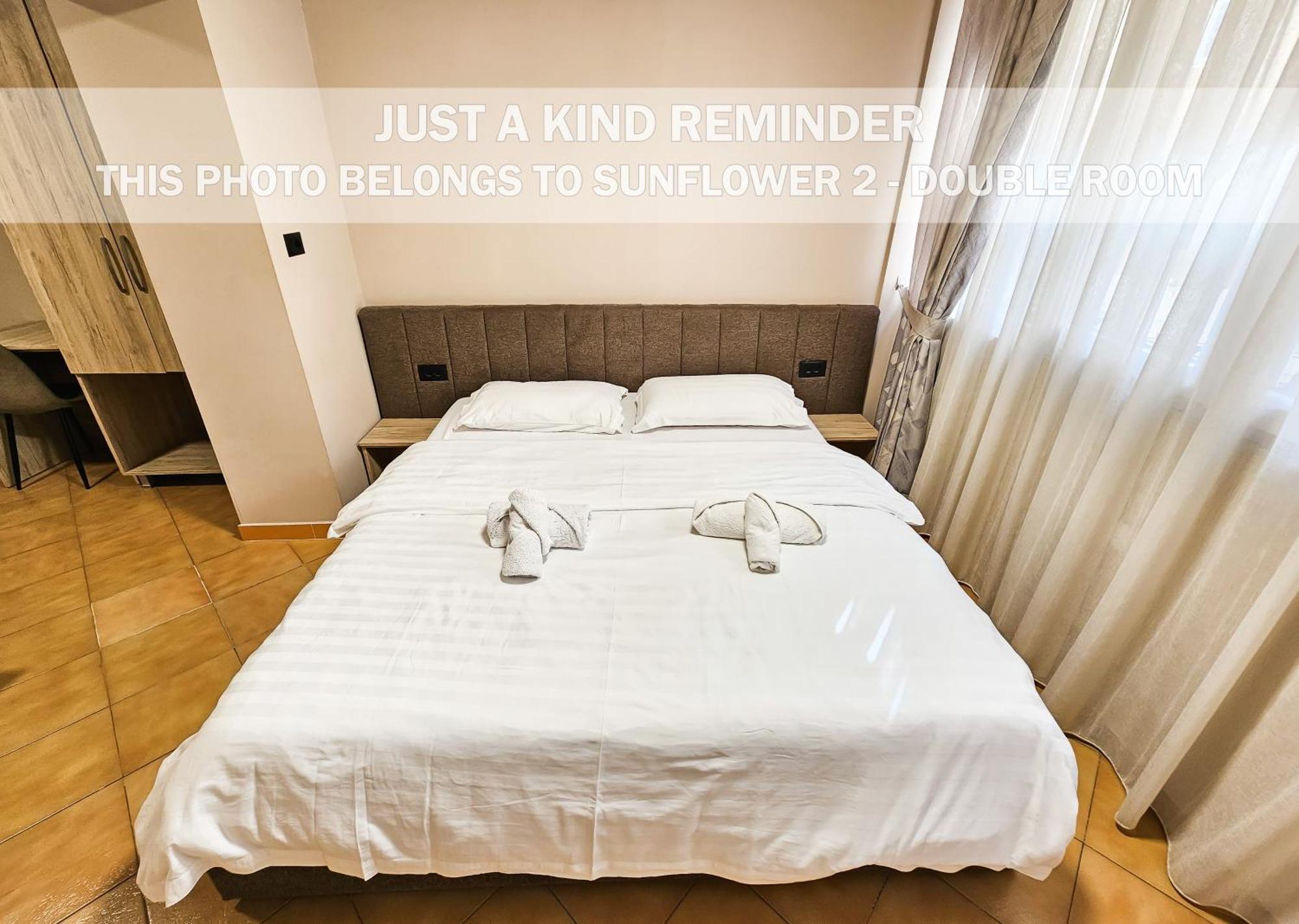Sunflower Rooms Tirana Extérieur photo