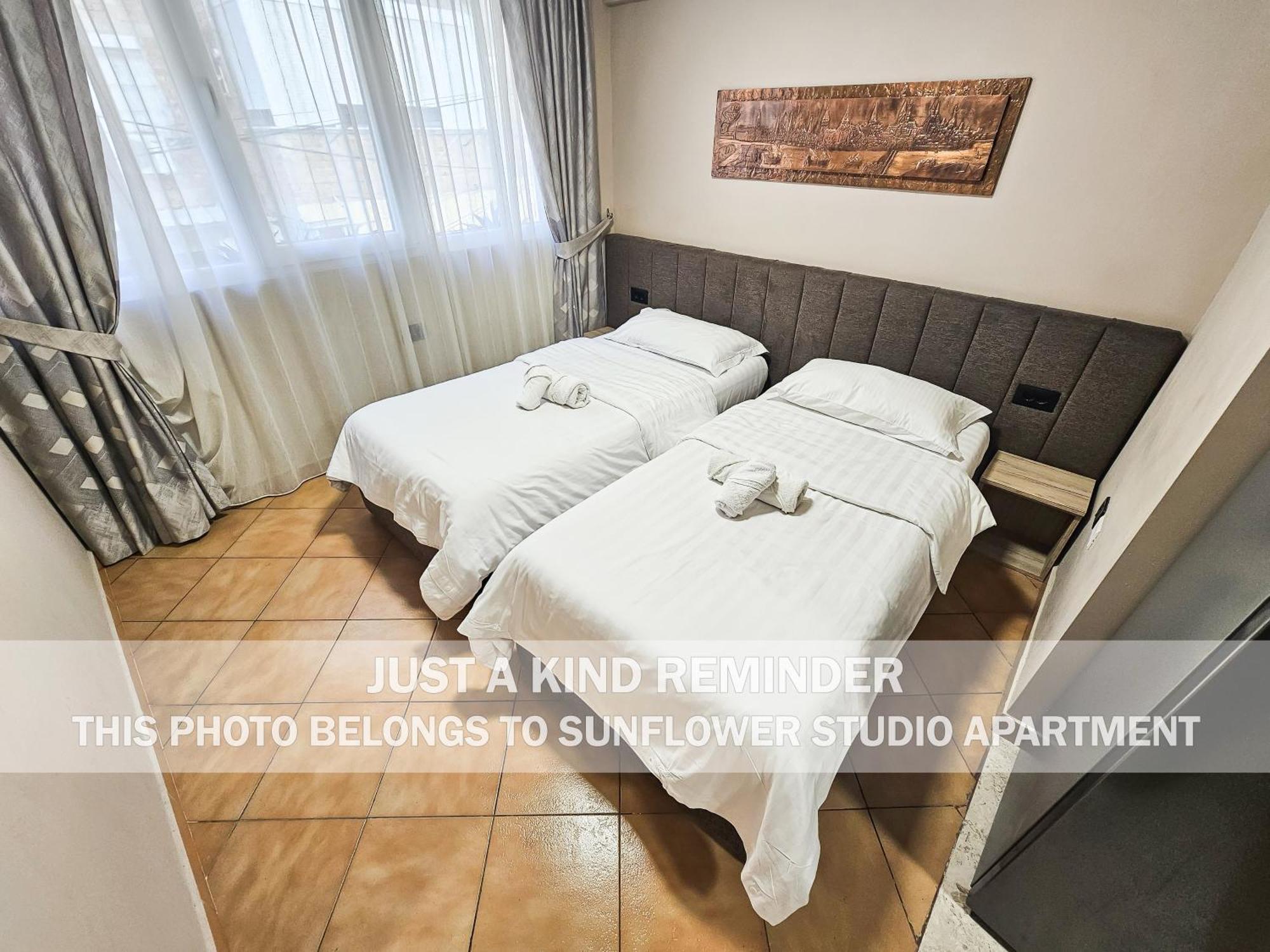 Sunflower Rooms Tirana Extérieur photo