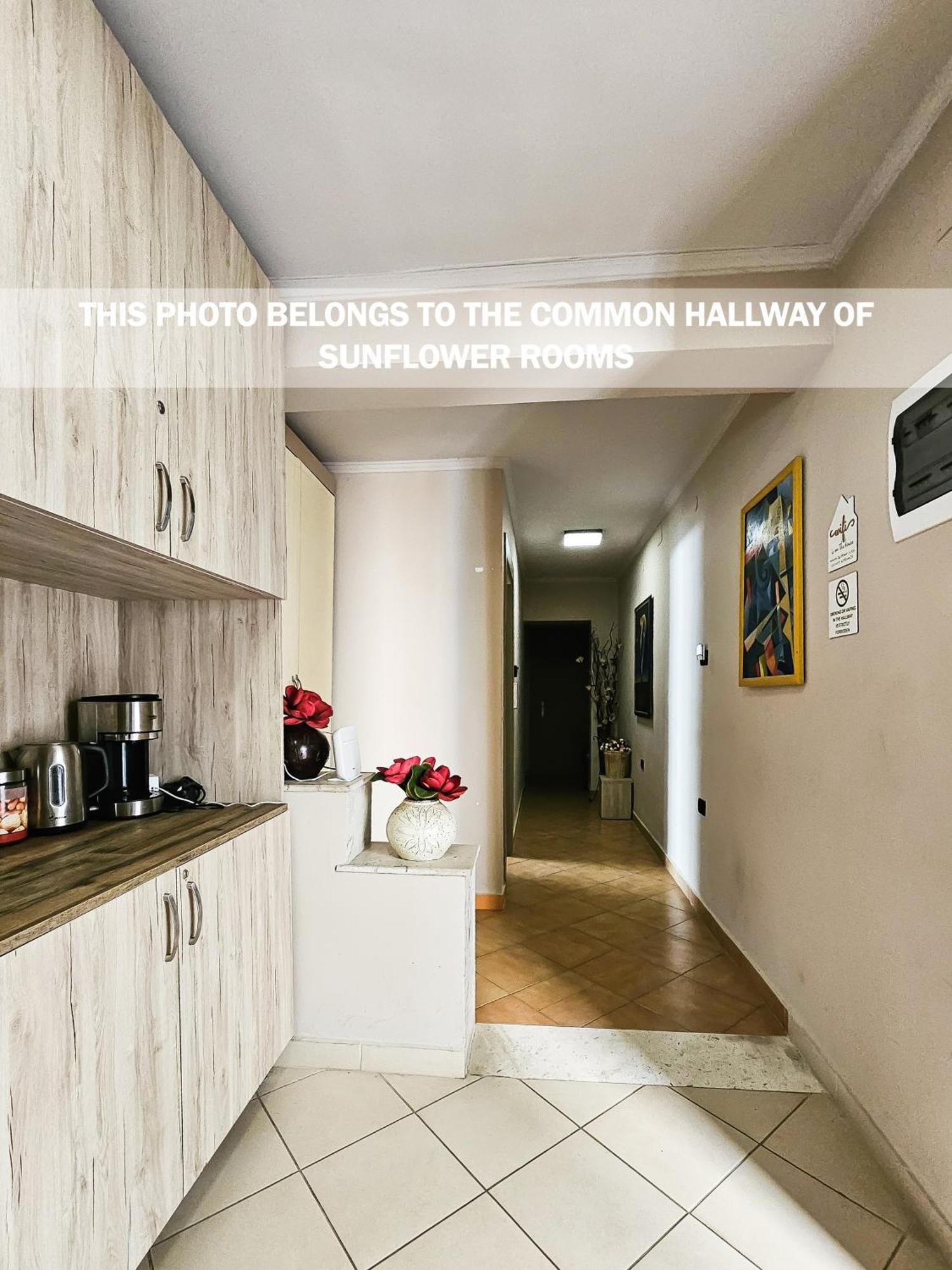 Sunflower Rooms Tirana Extérieur photo