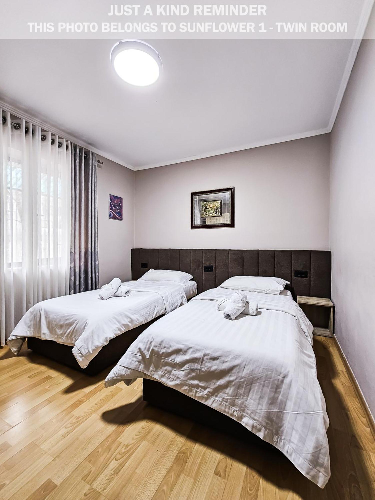 Sunflower Rooms Tirana Extérieur photo